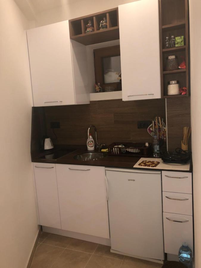 Apartman “Emi” Κοπαόνικ Εξωτερικό φωτογραφία